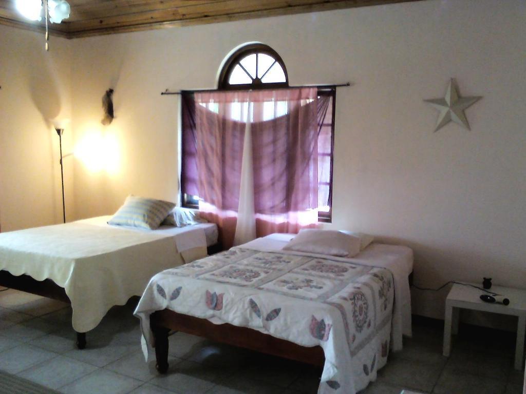 Dolphin Bay Yoga Guest House Drapers Екстериор снимка