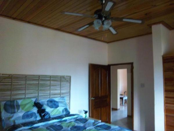 Dolphin Bay Yoga Guest House Drapers Екстериор снимка