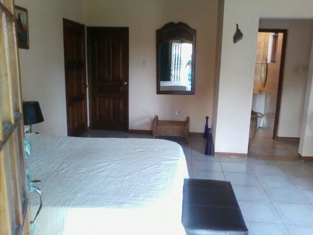 Dolphin Bay Yoga Guest House Drapers Екстериор снимка